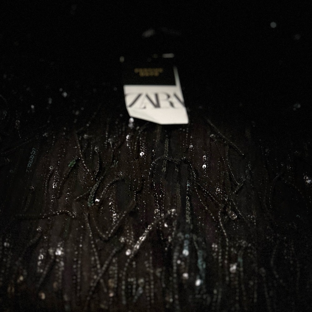 Zara Black Sequin Fringed Mini Dress
Short Sleeve Dress - Picture 11 of 11